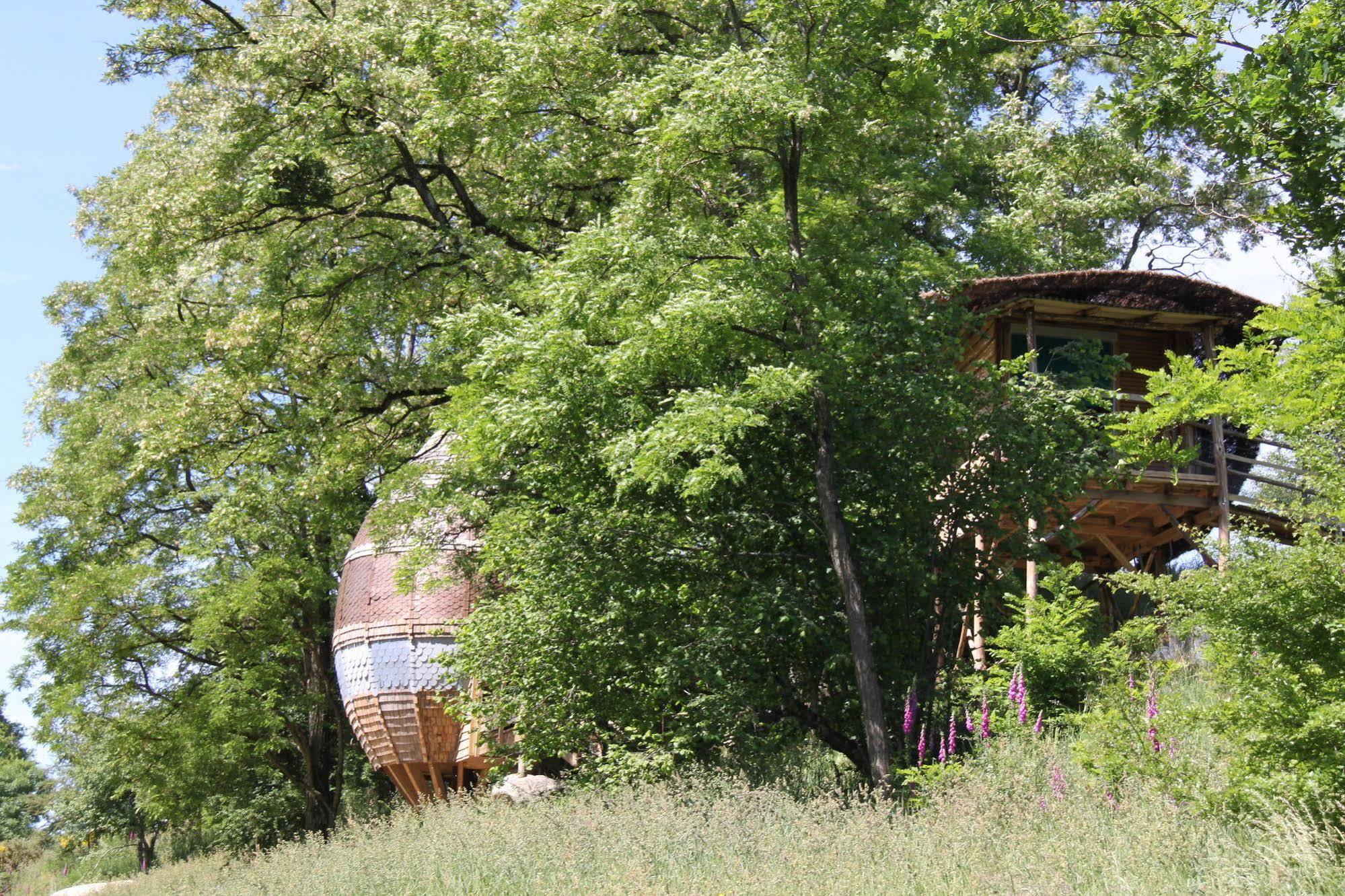 Terragora Lodges - Hebergement Atypique Les Épesses Exteriér fotografie