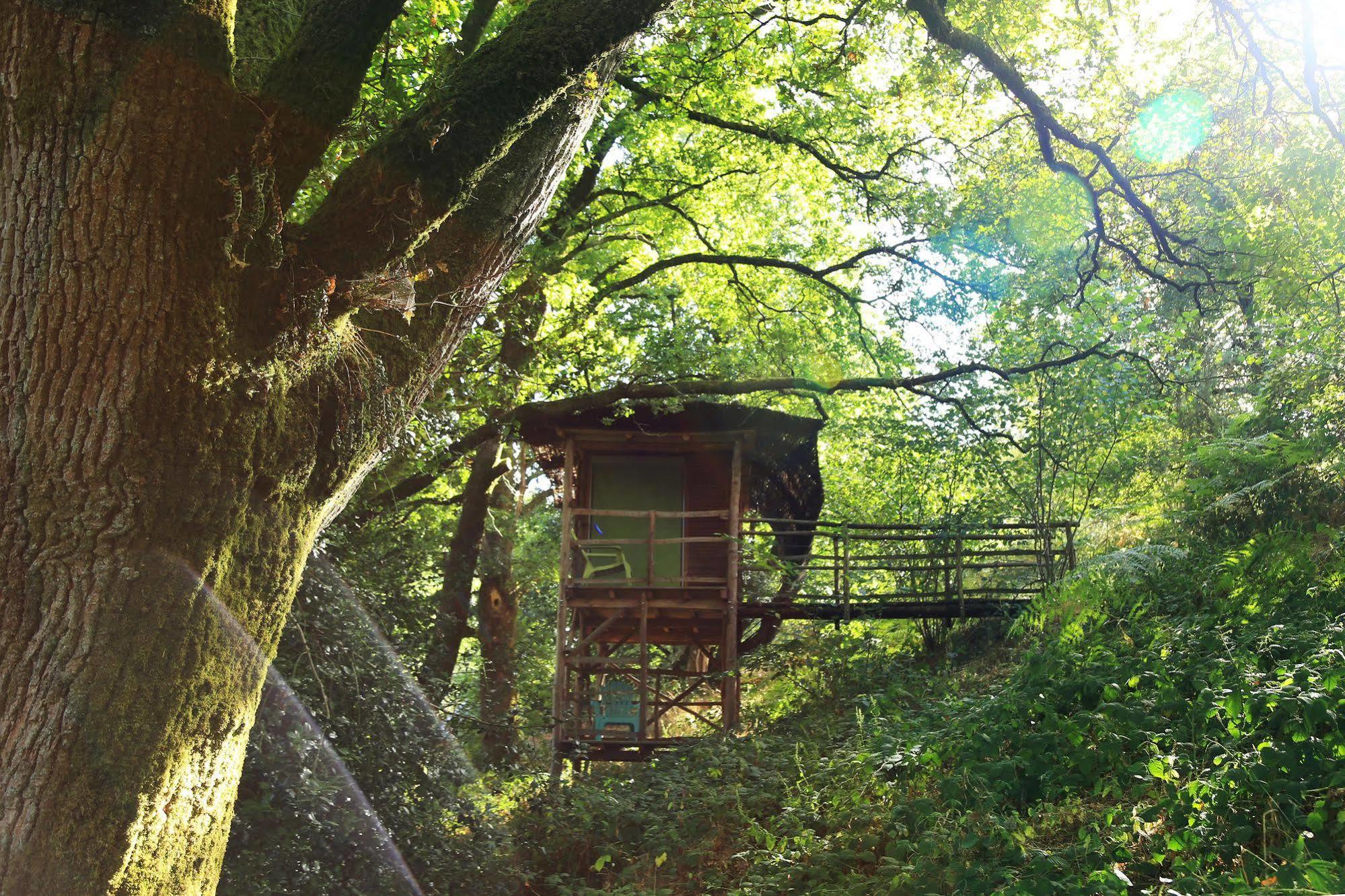 Terragora Lodges - Hebergement Atypique Les Épesses Exteriér fotografie